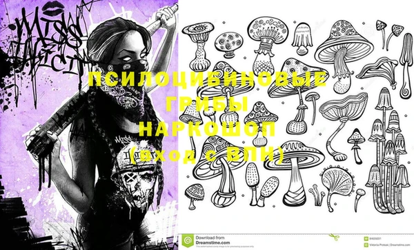 молекула духа Верея