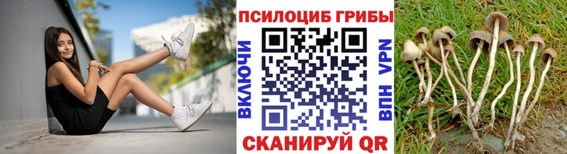 Галлюциногенные грибы Cubensis  магазин  наркотиков  Лосино-Петровский 